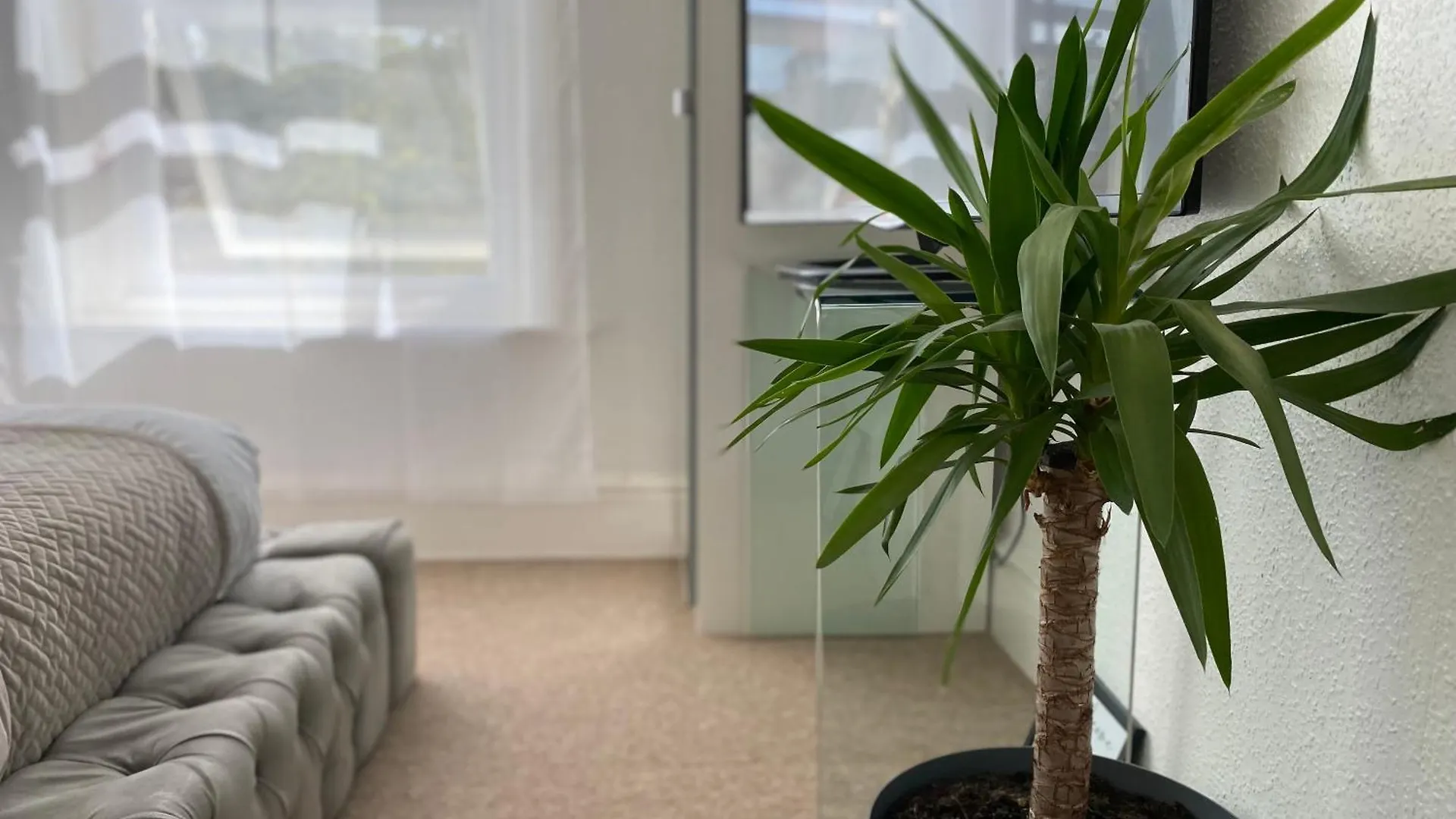5 Min From The Beach En Suite Room In Guest House Bournemouth